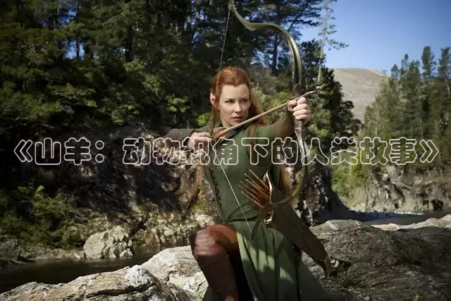 西瓜影院高清免费播放电视剧的注